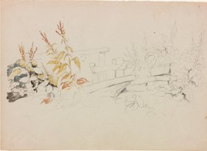 Nature Study by John Wilson Carmichael